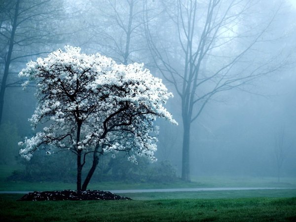 background-images-2.jpeg